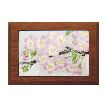 七宝焼|銘々小箱・桜