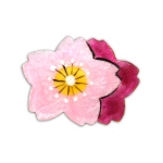 七宝焼|花白組ピンブローチ　桜
