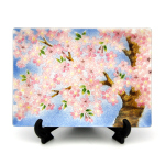 七宝焼|飾皿・15×21　桜